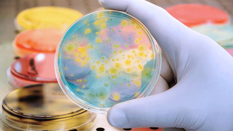 食品酶制剂定制，揭秘其背后的技术秘密**