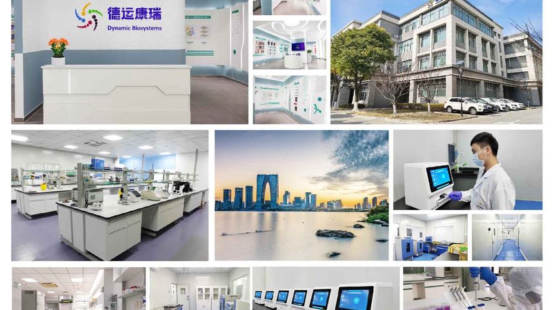 CDMO项目合作：揭秘药物研发背后的专业服务