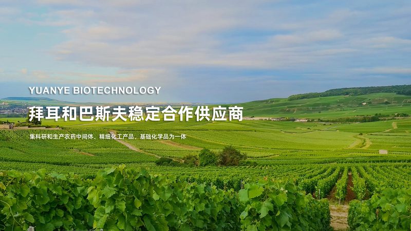 耐高温酶型号参数解析：揭秘高效酶制剂的奥秘
