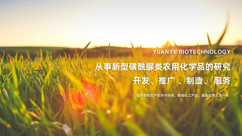 上海CDMO质量标准：揭秘药品研发背后的质量控制密码