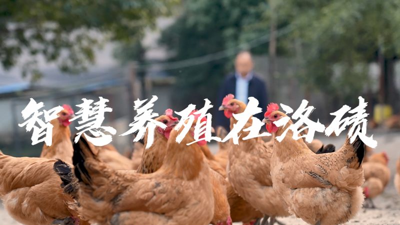 细胞培养基定制，如何确保科研品质与合规性？**